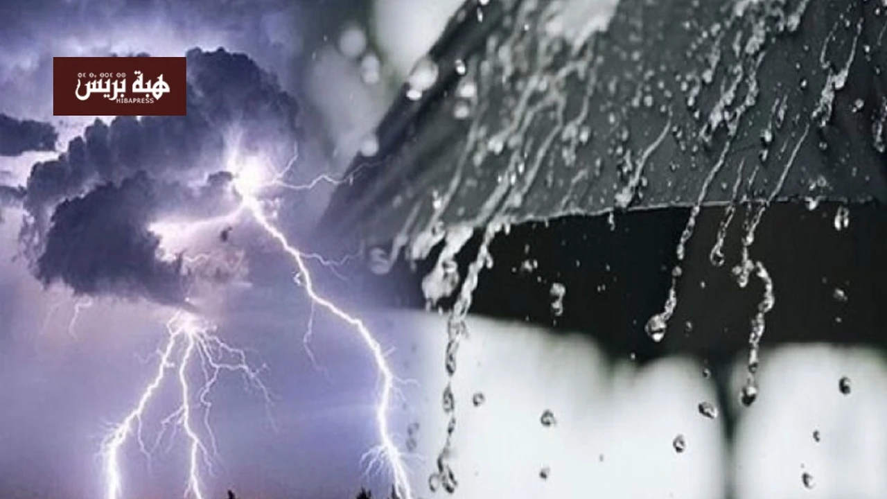 طقس الإثنين: أجواء باردة وأمطار رعدية مرتقبة في مناطق عدة بالمملكة